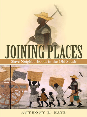 cover image of Joining Places